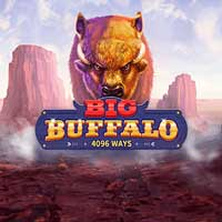 Big Buffalo